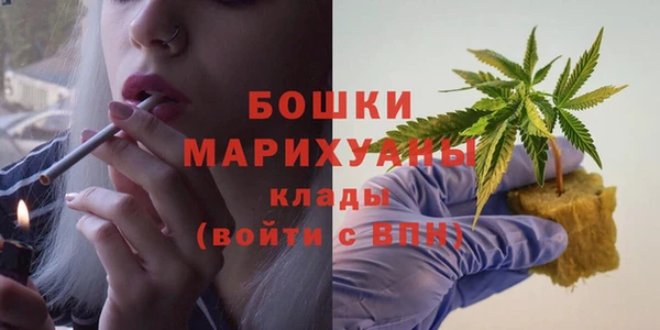 бошки Пересвет