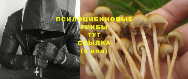 ECSTASY Пестово