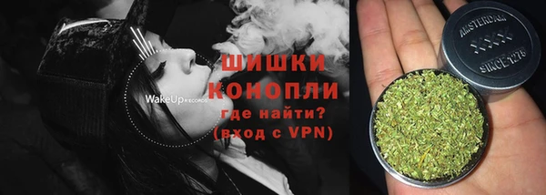 бошки Пересвет