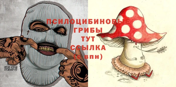 синтетический гашиш Переславль-Залесский