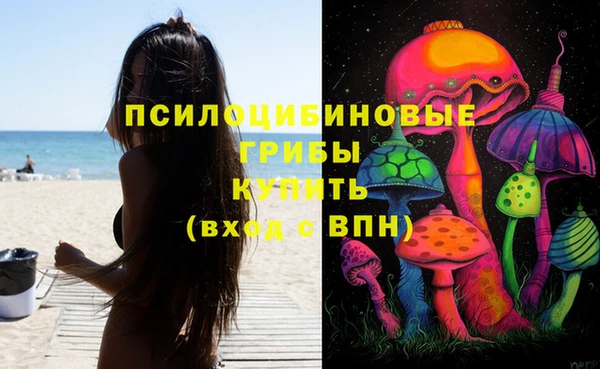 синтетический гашиш Переславль-Залесский