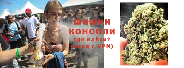 бошки Пересвет