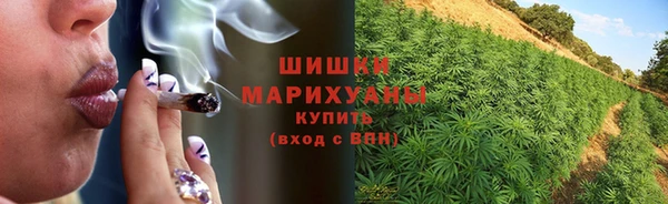 ECSTASY Пестово